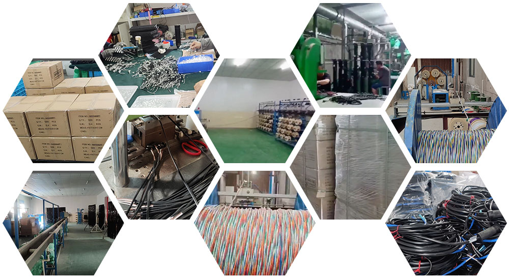 1737098038235845.jpg 7.jpg